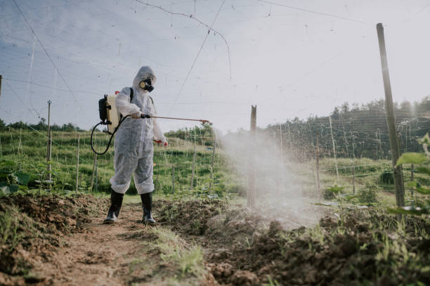 Best Commercial Pest Control Services  in Leonardo, NJ