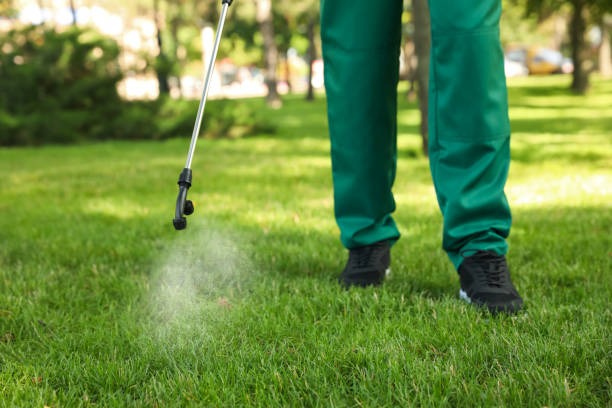 Best Pest Control Treatment  in Leonardo, NJ