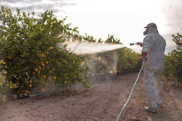 Best Wasp Removal Services  in Leonardo, NJ
