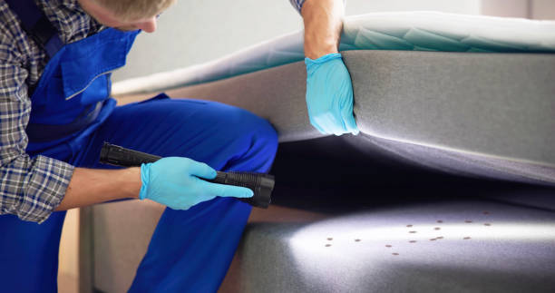 Best Mosquito Control Services  in Leonardo, NJ