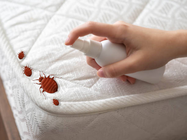 Flea Control Services in Leonardo, NJ
