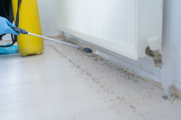 Best Pest Inspection Near Me  in Leonardo, NJ