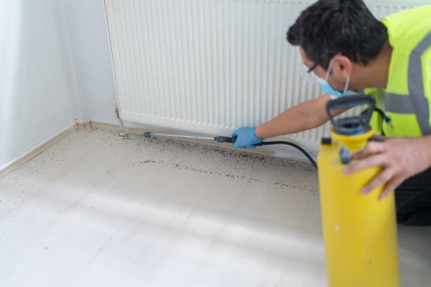 Professional Pest Control in Leonardo, NJ